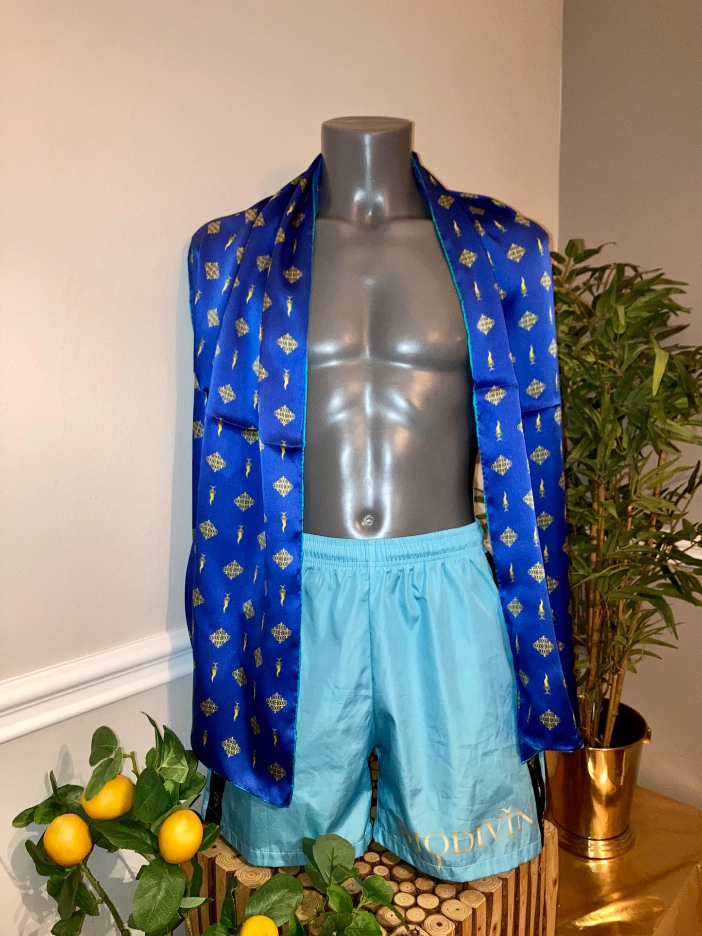 Swim Shorts Men